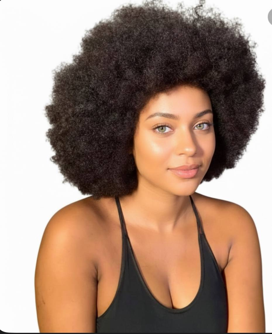Afro Wig Human Hair Afro Wig